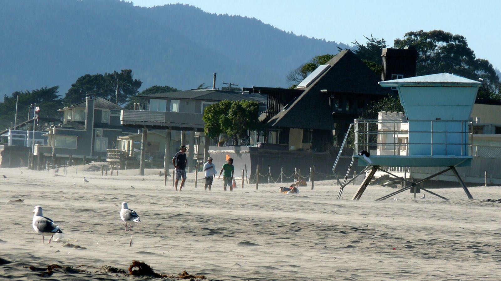 Beachfront houses and a lifeguard tower on Stinson Beach